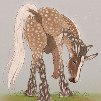 Bronky Avatar