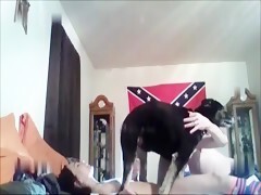 Amature Dog Sex - Ameizing Amateur dog sex lovers Threesome - Bestialitylovers - Watch Free  Porn Video