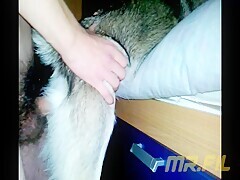 Thumb 15