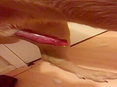 Thumb 12