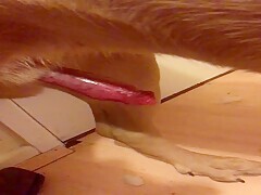 Thumb 14