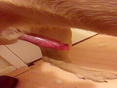Thumb 16
