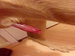 Thumb 17