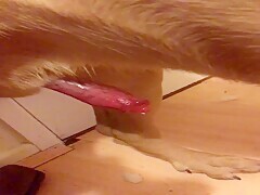 Thumb 19