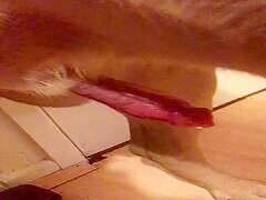 Thumb 8